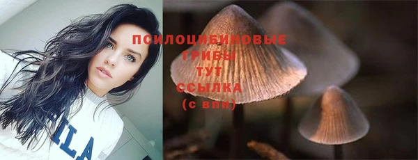 мескалин Алексеевка