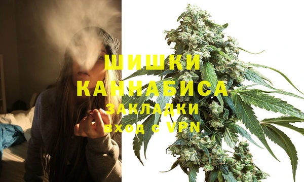 МДПВ Алзамай