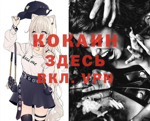 spice Гусев