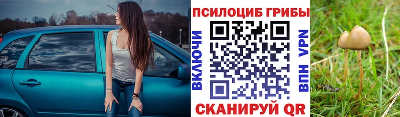 Псилоцибиновые грибы Cubensis  Купить  Борисоглебск 